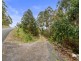 211 Grandview Drive, South Spreyton TAS 7310