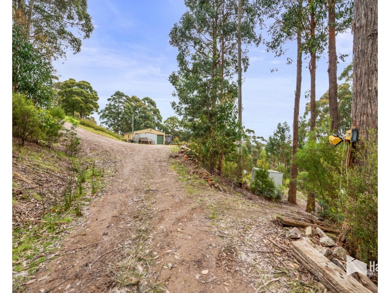 211 Grandview Drive, South Spreyton TAS 7310