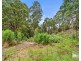 197 Grandview Drive, South Spreyton TAS 7310