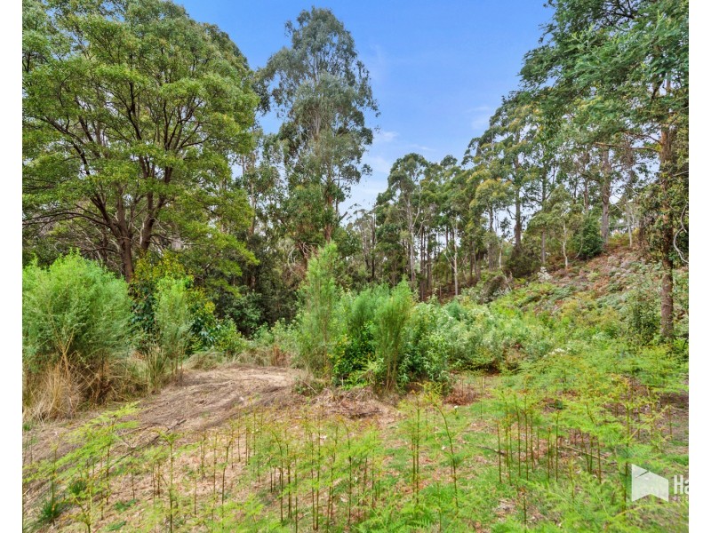 197 Grandview Drive, South Spreyton TAS 7310