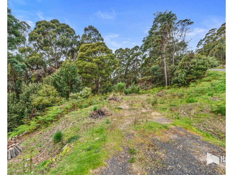 197 Grandview Drive, South Spreyton TAS 7310