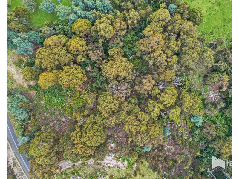 197 Grandview Drive, South Spreyton TAS 7310