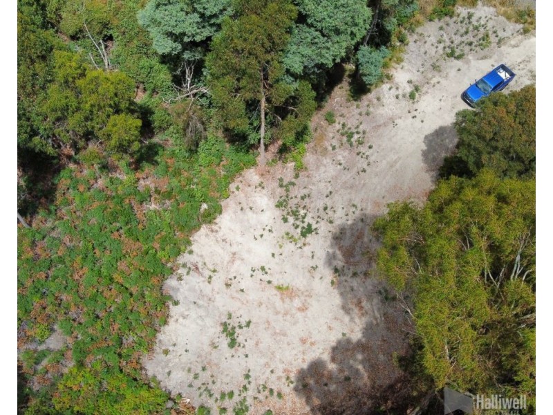 197 Grandview Drive, South Spreyton TAS 7310