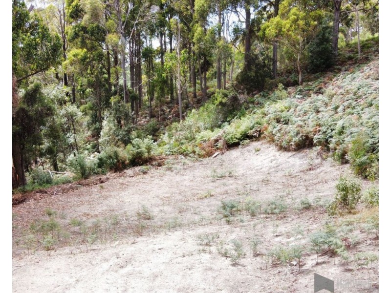 197 Grandview Drive, South Spreyton TAS 7310