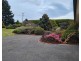 41 Grandview Drive, South Spreyton TAS 7310