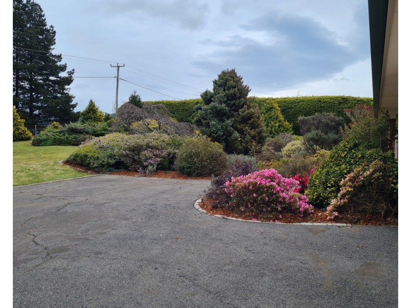 41 Grandview Drive, South Spreyton TAS 7310