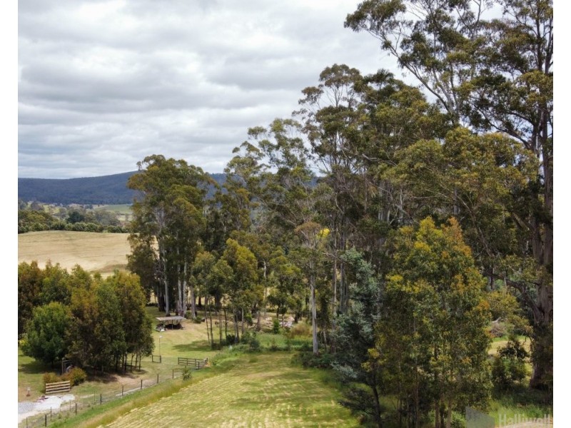 280A Kelcey Tier Road, Spreyton TAS 7310