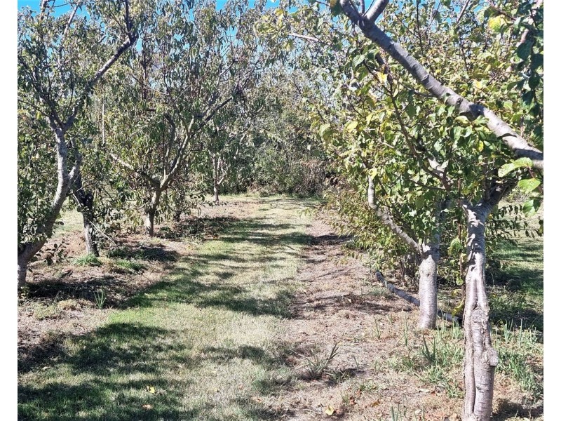54 Ibbotts Road, Thirlstane TAS 7307