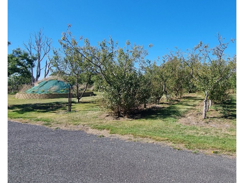 54 Ibbotts Road, Thirlstane TAS 7307
