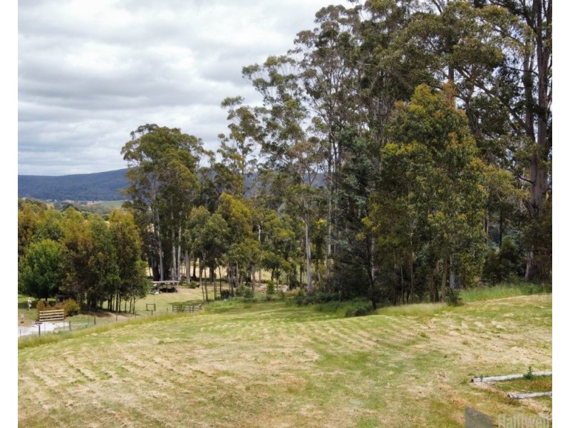 280A Kelcey Tier Road, Spreyton TAS 7310