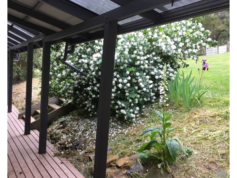 278 Kelcey Tier Road, Spreyton TAS 7310