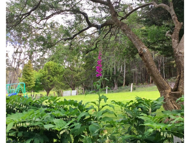 278 Kelcey Tier Road, Spreyton TAS 7310