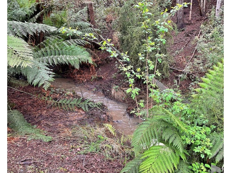 278 Kelcey Tier Road, Spreyton TAS 7310