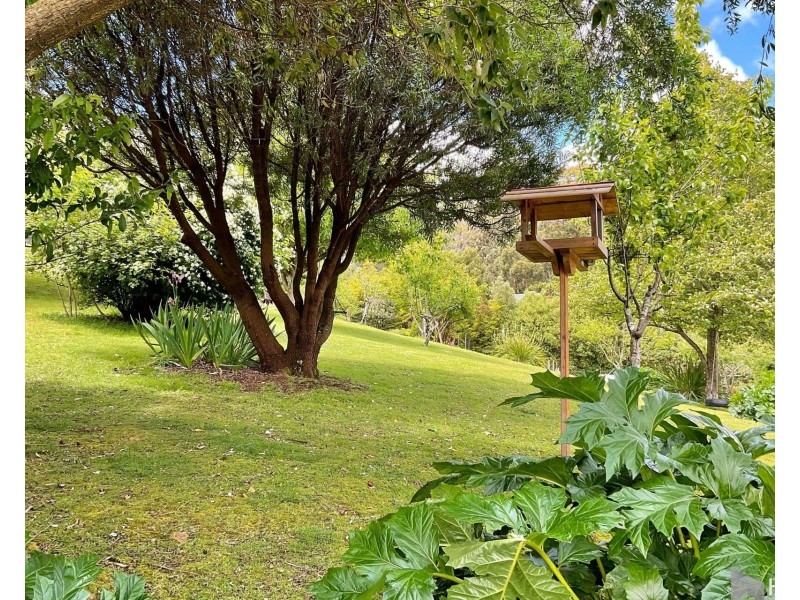 278 Kelcey Tier Road, Spreyton TAS 7310