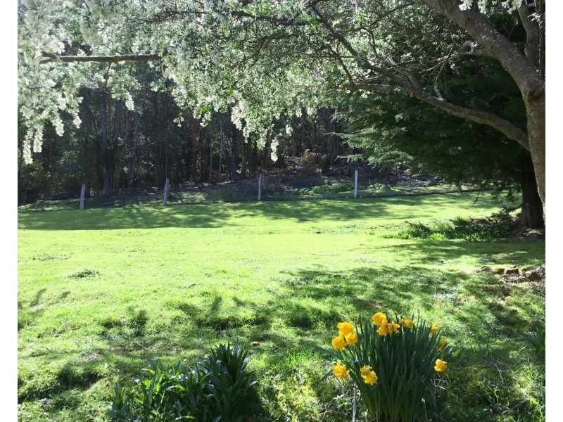 278 Kelcey Tier Road, Spreyton TAS 7310