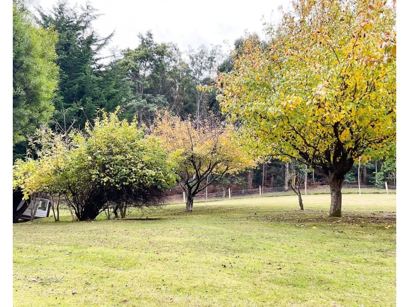 278 Kelcey Tier Road, Spreyton TAS 7310