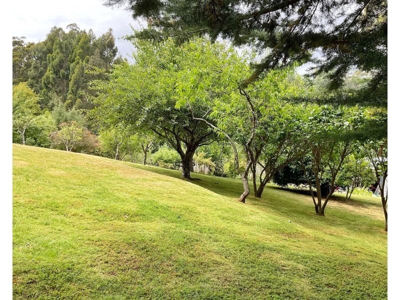 278 Kelcey Tier Road, Spreyton TAS 7310