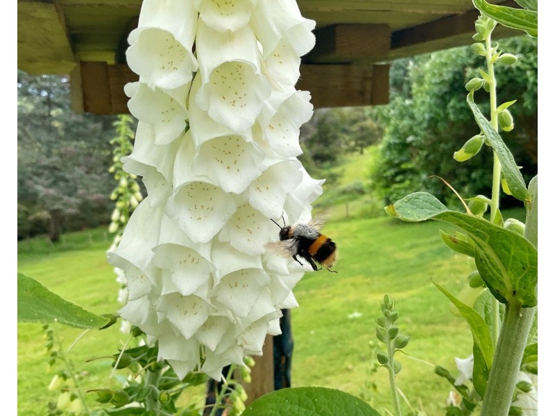 278 Kelcey Tier Road, Spreyton TAS 7310