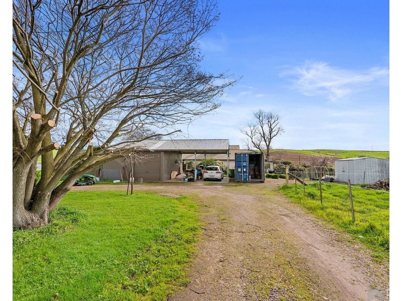 439 Oppenheims Road, Moriarty TAS 7307