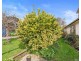 439 Oppenheims Road, Moriarty TAS 7307