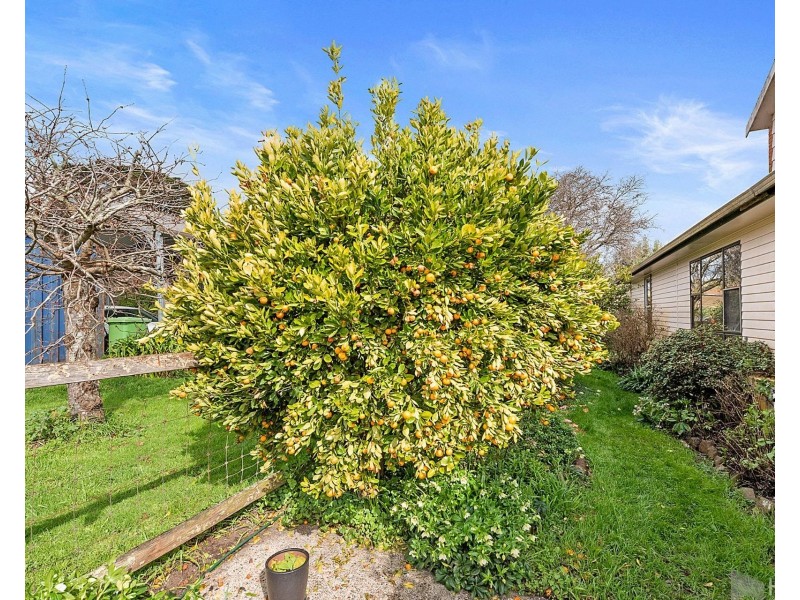439 Oppenheims Road, Moriarty TAS 7307