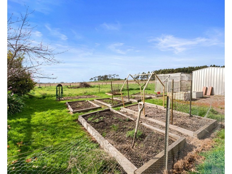 439 Oppenheims Road, Moriarty TAS 7307