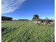 439 Oppenheims Road, Moriarty TAS 7307