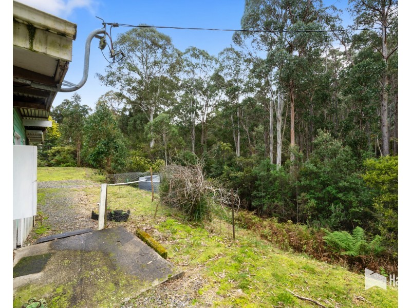 41 Main Street, Cethana TAS 7306