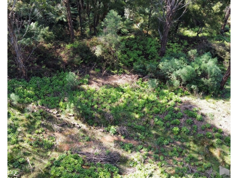 Lobster Creek Road, West Ulverstone TAS 7315