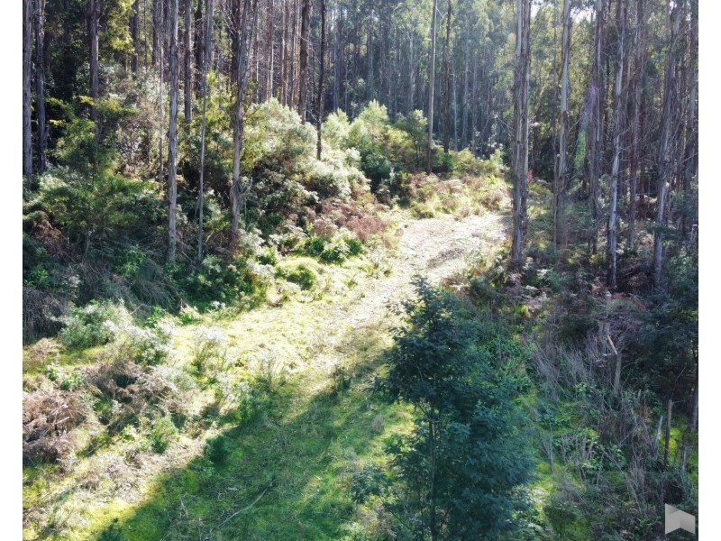 Lobster Creek Road, West Ulverstone TAS 7315
