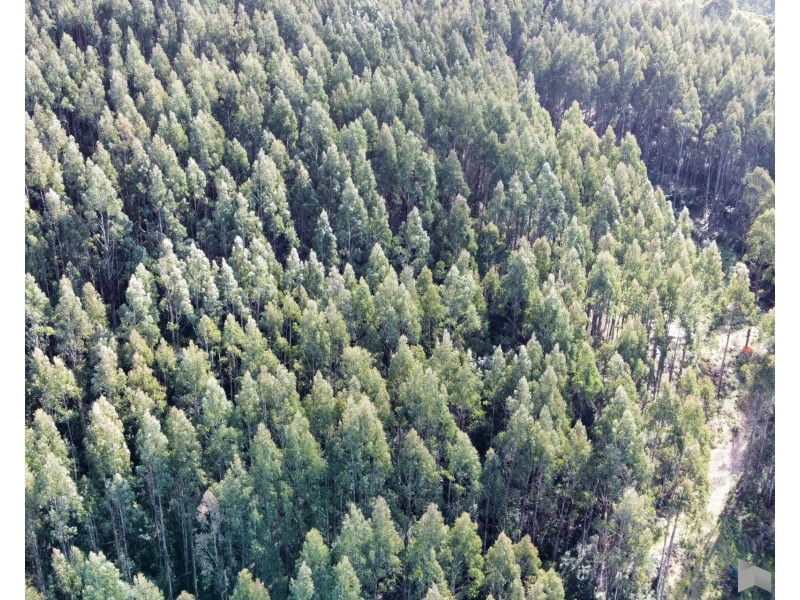 Lobster Creek Road, West Ulverstone TAS 7315