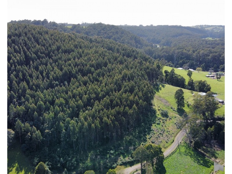 Lobster Creek Road, West Ulverstone TAS 7315