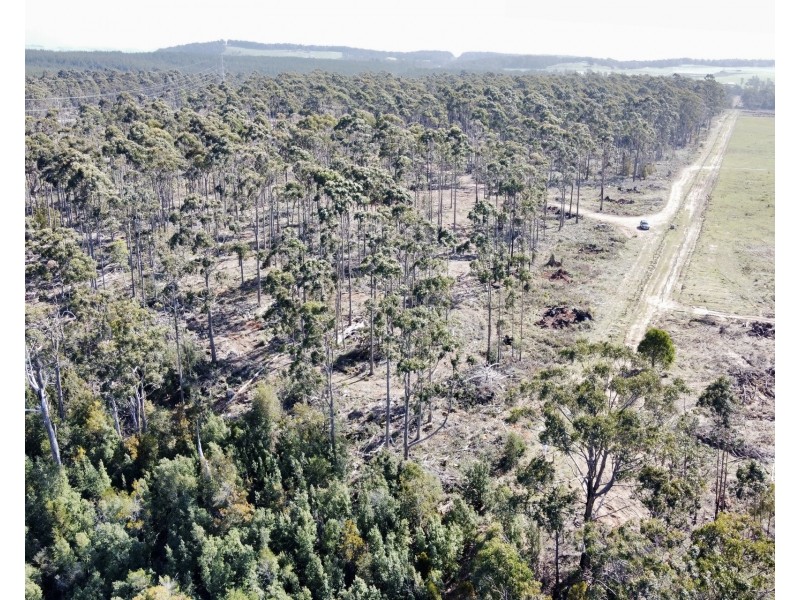 2/275 Smith And Others Road, Sassafras TAS 7307