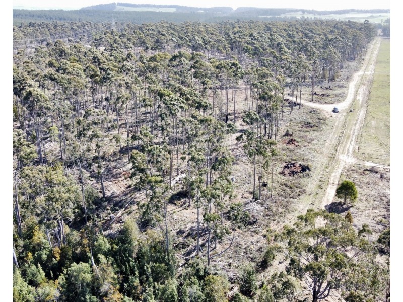 2/275 Smith And Others Road, Sassafras TAS 7307