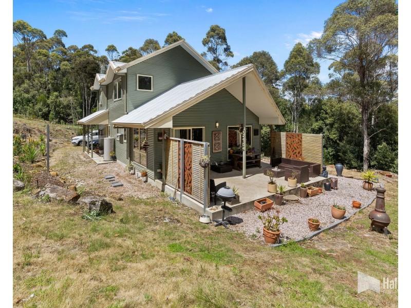 19 Black Wattle Road, Acacia Hills TAS 7306