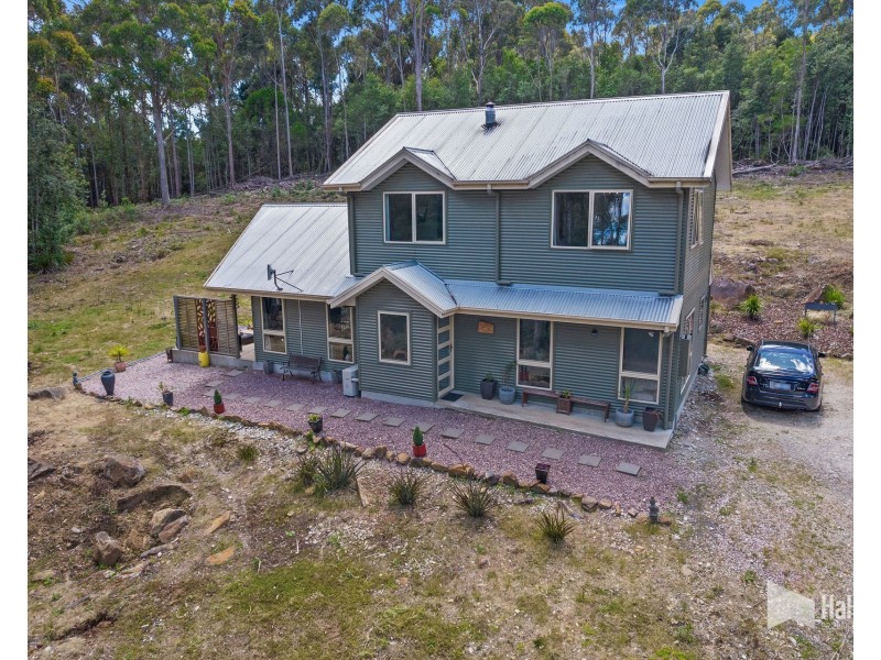 19 Black Wattle Road, Acacia Hills TAS 7306