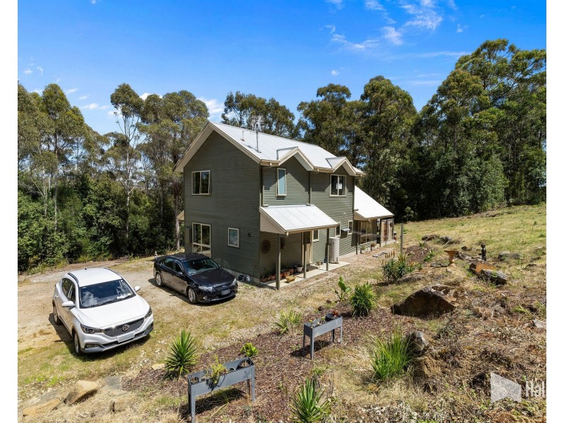 19 Black Wattle Road, Acacia Hills TAS 7306