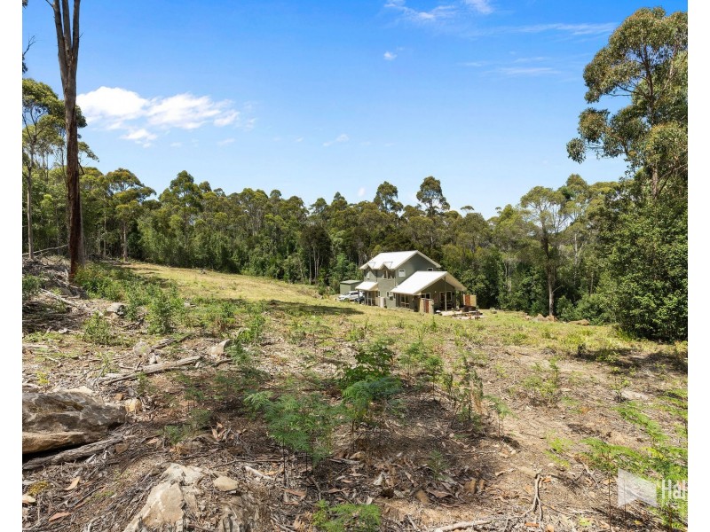 19 Black Wattle Road, Acacia Hills TAS 7306