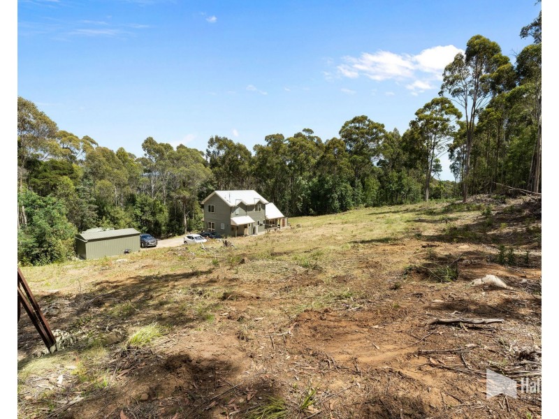 19 Black Wattle Road, Acacia Hills TAS 7306