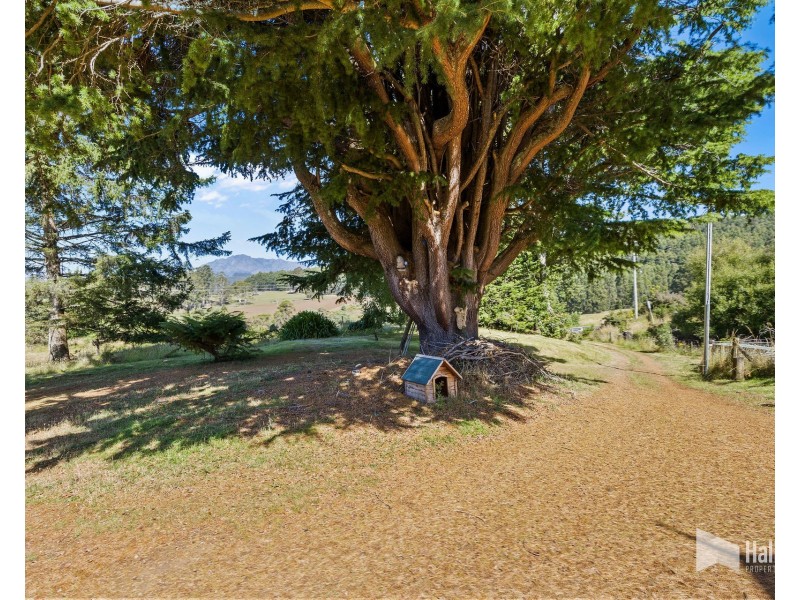 502 Cradle Mountain Road, Wilmot TAS 7310