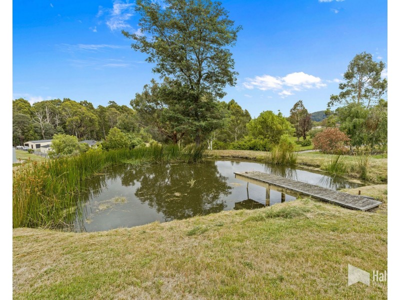 114 Grandview Drive, South Spreyton TAS 7310