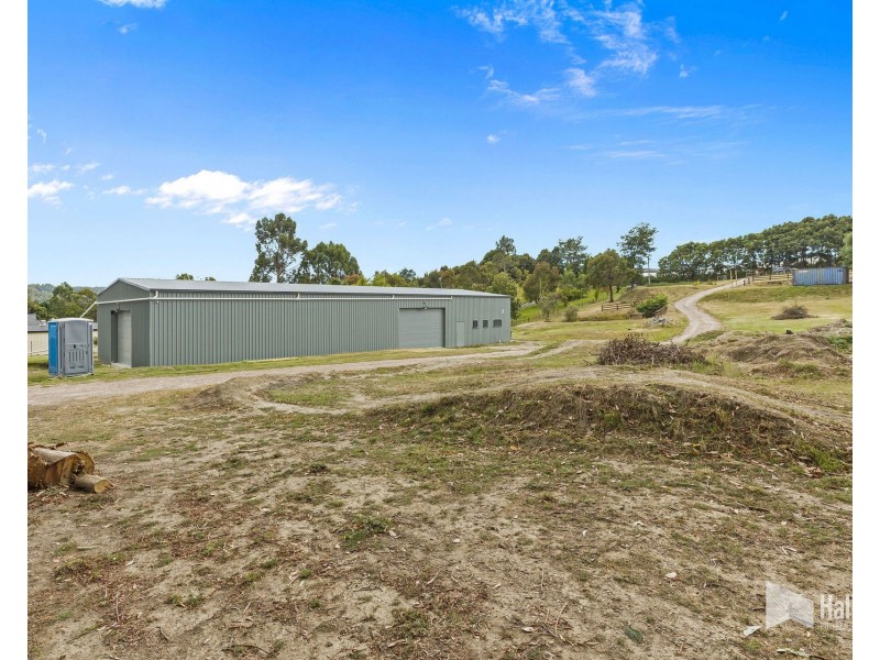 114 Grandview Drive, South Spreyton TAS 7310