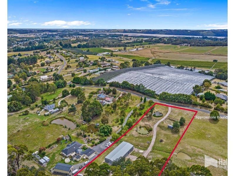 114 Grandview Drive, South Spreyton TAS 7310