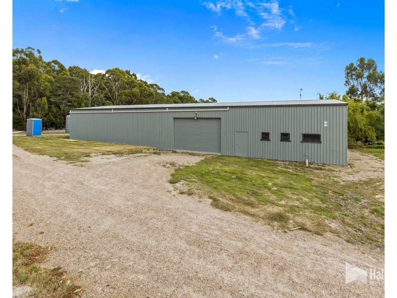 114 Grandview Drive, South Spreyton TAS 7310