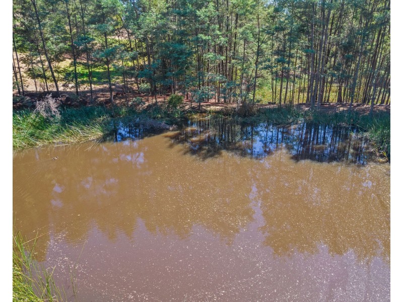 1/355 Sheffield Road, Acacia Hills TAS 7306