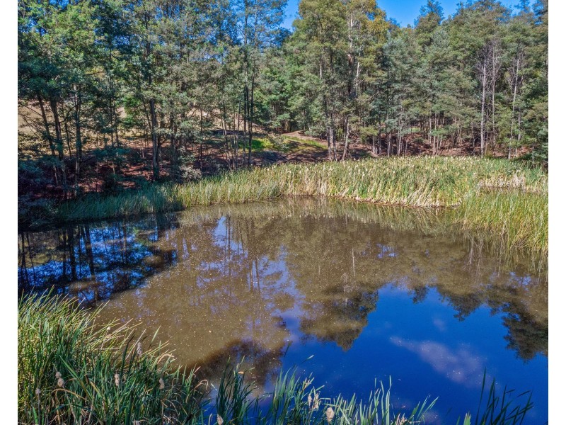 1/355 Sheffield Road, Acacia Hills TAS 7306