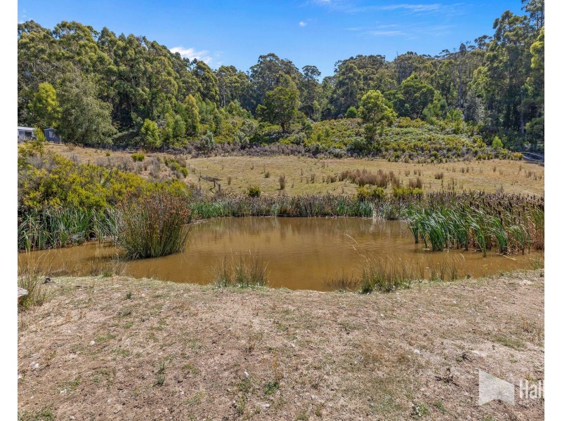 55A Squibbs Road, Spreyton TAS 7310