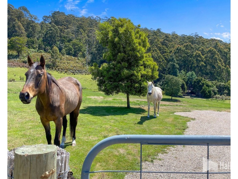 55A Squibbs Road, Spreyton TAS 7310
