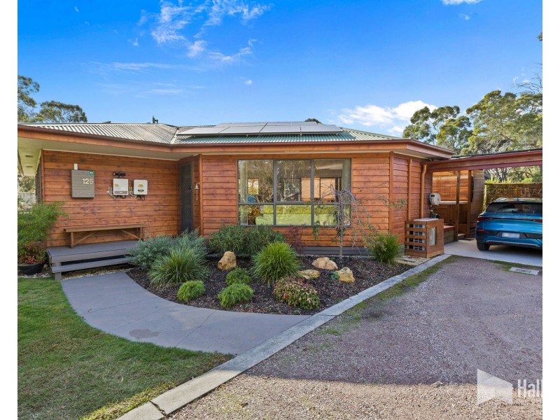 125 Charles Street, Squeaking Point TAS 7307