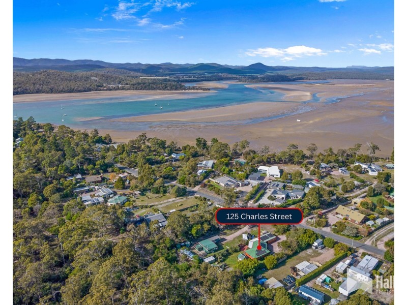 125 Charles Street, Squeaking Point TAS 7307